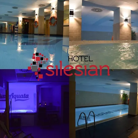 호텔 Great Polonia Silesian Economy Hotel