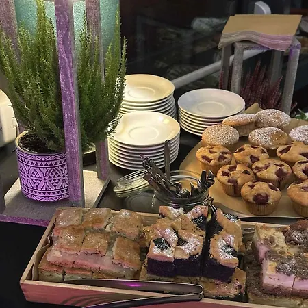 Economy Silesian 2* Katoviçe