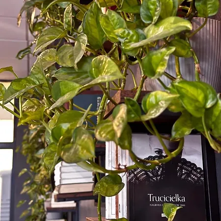 Hotel Economy Silesian Katowice