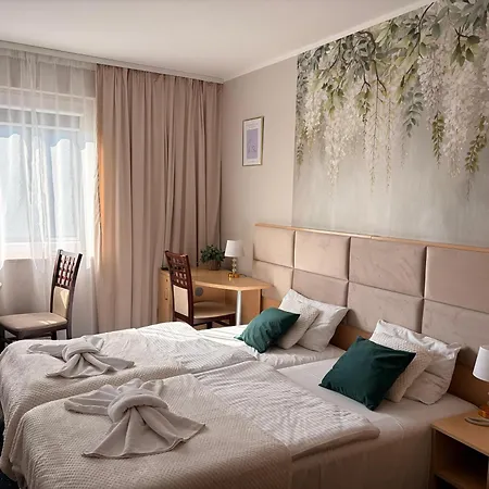 Great Polonia Silesian Economy Hotel 2*