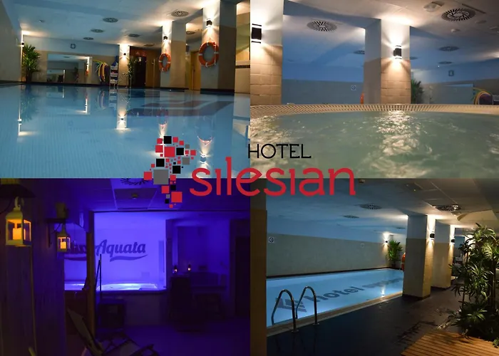 호텔 Great Polonia Silesian Economy Hotel
