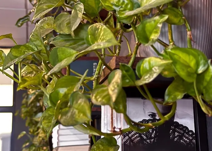 Hotel Economy Silesian Kattowitz